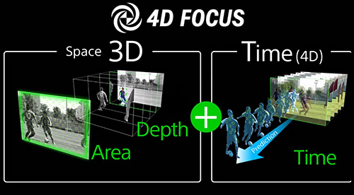 4D Focus