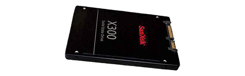 SanDisk X300