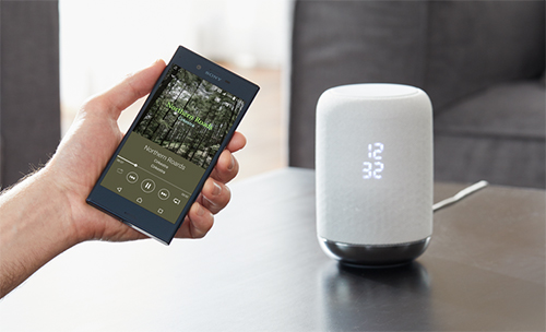 Sony LF-S50G