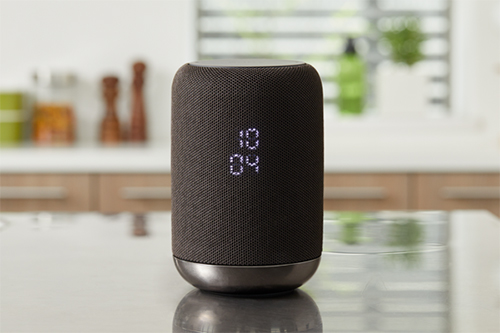 Sony LF-S50G