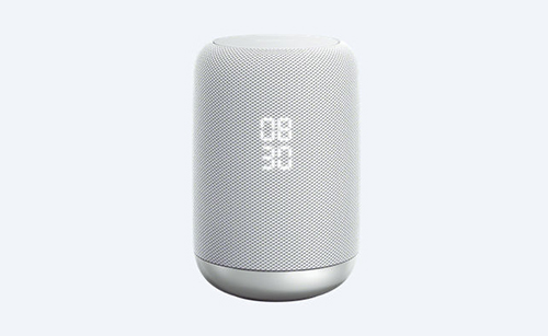 Sony LF-S50G