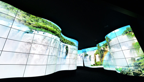 LG OLED