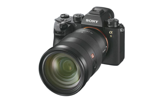 Sony
