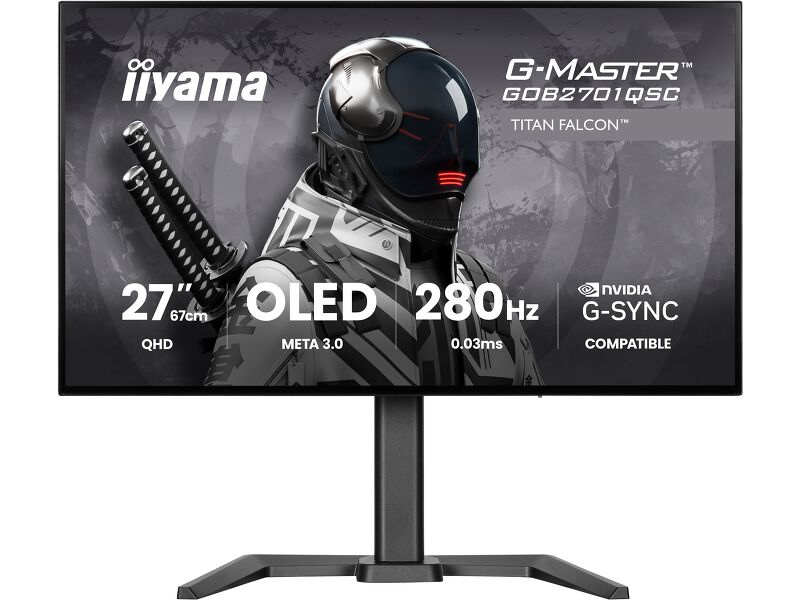 iiyama
